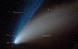 Структура кометы
