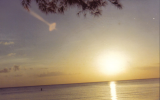 Блик от Солнца на фото, найденный на пейзажных снимках,&nbsp;в Майами&nbsp;(штат Флорида),&nbsp;семидесятые годы.
