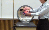 Примерно в середине пути шарик оказывается в фокусе зеркала и создается иллюзия прохождения сквозь него.
