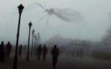 Комар пролетел перед линзой фотоаппарата

Автор: u/ThePhantom1994
