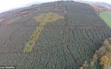 Planting, reaching more than 100 meters in length, noticeable only from the air. It is located in the Northern part of Ireland. Cross "formed" from crown lighter shade than the surrounding vegetation. A man by the name Emmeri Liam (Liam Emmery) specially planted trees two types so that their crowns formed an ancient symbol.
Translated by «Yandex.Translator»