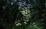 Фотограф&nbsp;Филипп&nbsp;Эшар&nbsp;запустил уникальный экологический проект "Стрит-арт 2.0". Площадкой для творчества для него стали джунгли на берегах Амазонки. Он использует световые и компьютерные технологии, проецируя изображения на деревья.
