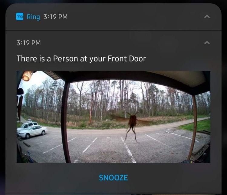 Сообщение от системы видеонаблюдения о том, что кто-то стоит перед дверью
