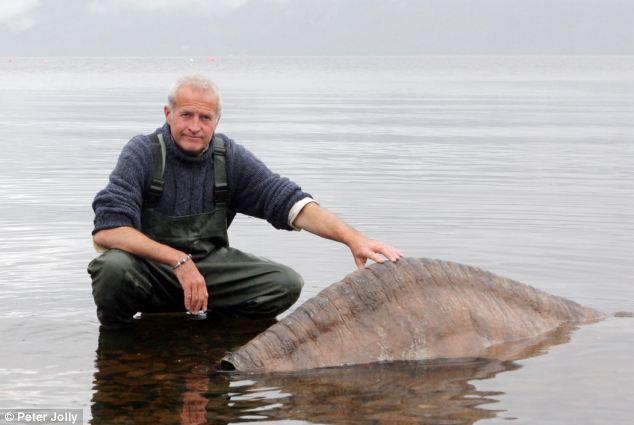 The Nessie expert Steve Feltham next to the dummy torso Nessie during filming.
Translated by «Yandex.Translator»