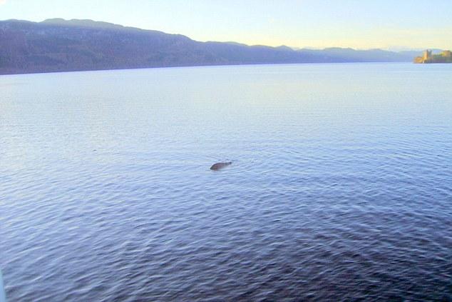 Photo of Nessie taken by the captain of the boat
Translated by «Yandex.Translator»