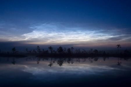 Celebrityonline.

These clouds are visible in a deep twilight. They are usually observed in summer months at latitudes between 43° and 60° (North and South latitude).

Height of about 85 km.
Translated by «Yandex.Translator»