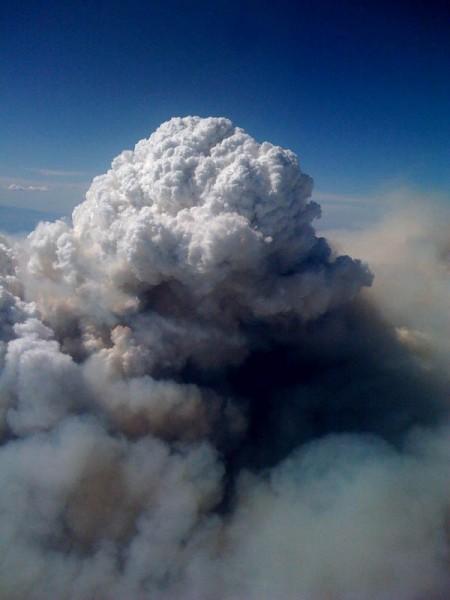 Pyrocumulus cloud.

They appear only in places of continuous fires on the territory of the volcanic activity. Sometimes pyrocumulus can be rain clouds, then the rain from these clouds can extinguish the fire beneath them.

Height up to 12 km
Translated by «Yandex.Translator»