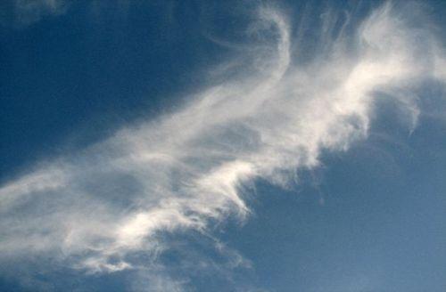 Перистые облака (CirrusCi)

Перистые облака выглядят как отдельные нити, гряды или полосы волокнистой структуры. Они образуются при наиболее низких температурах в верхних слоях тропосферы и состоят из ледяных кристаллов. Эти облака имеют белый цвет, они полупрозрачные и мало затеняют солнечный свет.

Высота 6-12 км
