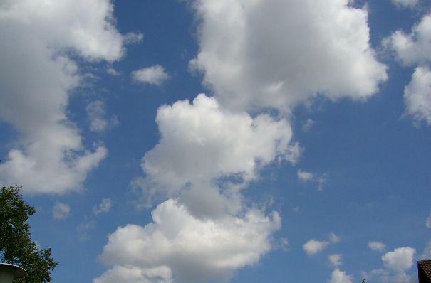 Кучевые облака (CumulusCu)

Кучевые облака - плотные с резко очерченными контурами отдельные облака, развивающиеся вверх в виде холмов, куполов, башен. Имеют ослепительно белые клубящиеся вершины (похожи на кочаны цветной капусты). Основания облаков сравнительно темные. При большом количестве образуют гряды. Иногда они имеют разорванные края. Кучевые облака состоят только из водяных капель (без кристаллов) и осадки не дают. Однако в тропиках, где водность облаков велика, из них вследствие взаимного слияния капель могут выпадать небольшие дожди.
В результате дальнейшего развития кучевых облаков образуются кучево-дождевые облака.

Высота от 0,3 до 1,5 км
