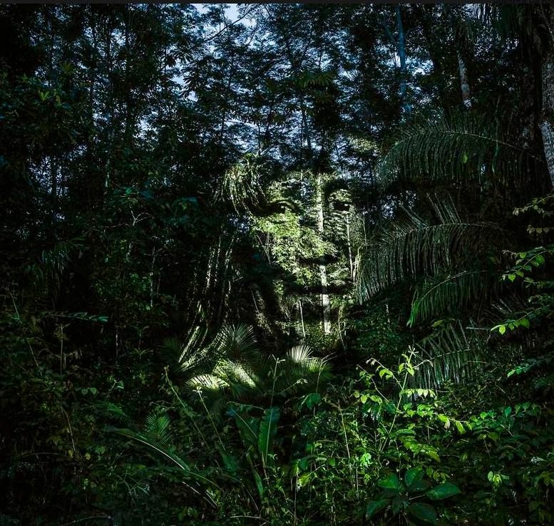 Фотограф&nbsp;Филипп&nbsp;Эшар&nbsp;запустил уникальный экологический проект "Стрит-арт 2.0". Площадкой для творчества для него стали джунгли на берегах Амазонки. Он использует световые и компьютерные технологии, проецируя изображения на деревья.
