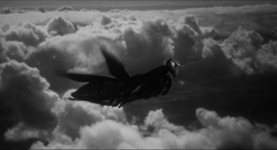 Гигантский богомол летит среди облаков
